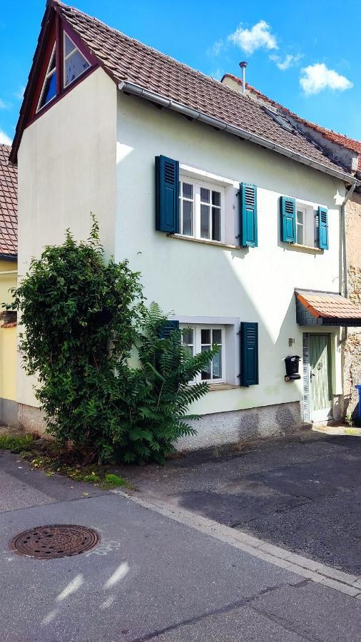 Schoenes Gemuetliches Haus Toplage Freinsheim Dış mekan fotoğraf