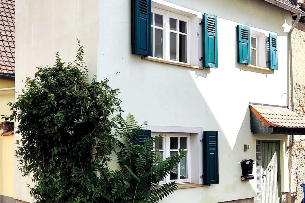 Schoenes Gemuetliches Haus Toplage Freinsheim Dış mekan fotoğraf